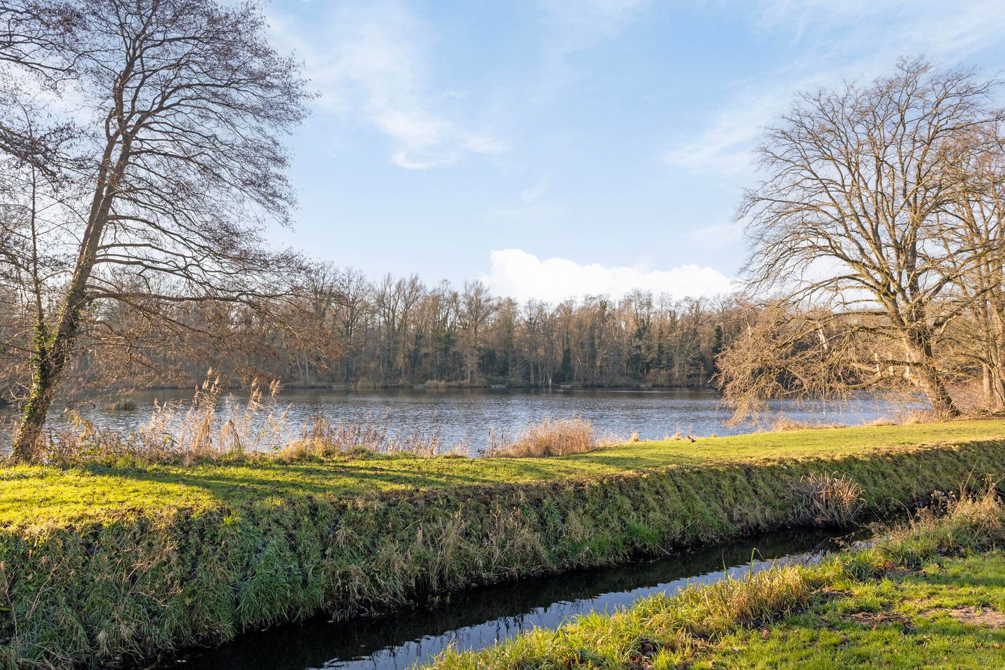 Foto 44 van Haaksbergerstraat 13