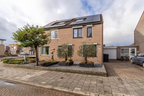 undefined main image