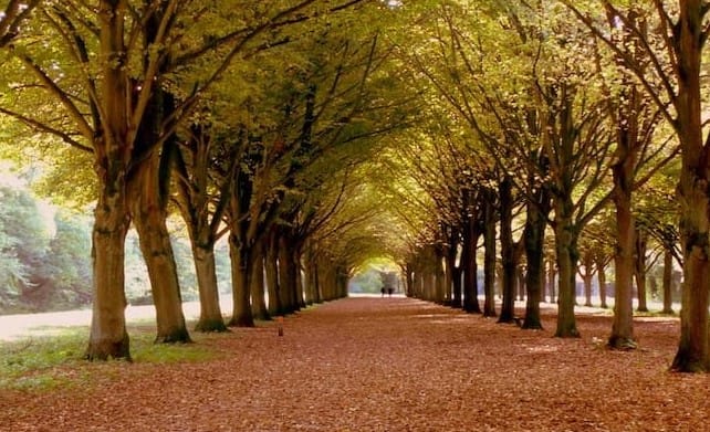 Foto 55 van Gustav Mahlerplein 285