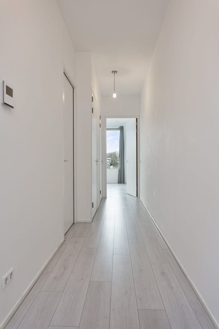 Foto 3 van Parnassusweg 1005