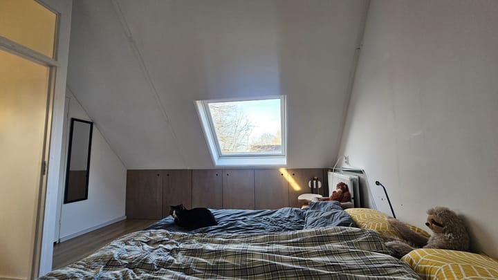 Foto 10 van Hegdambroek 1622