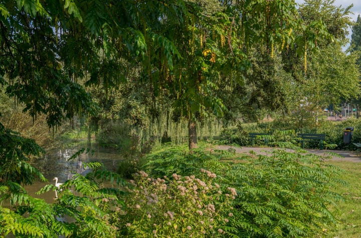 Foto 39 van Sleewijkstraat 50