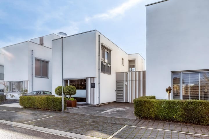 Teunisbloem 10 main image