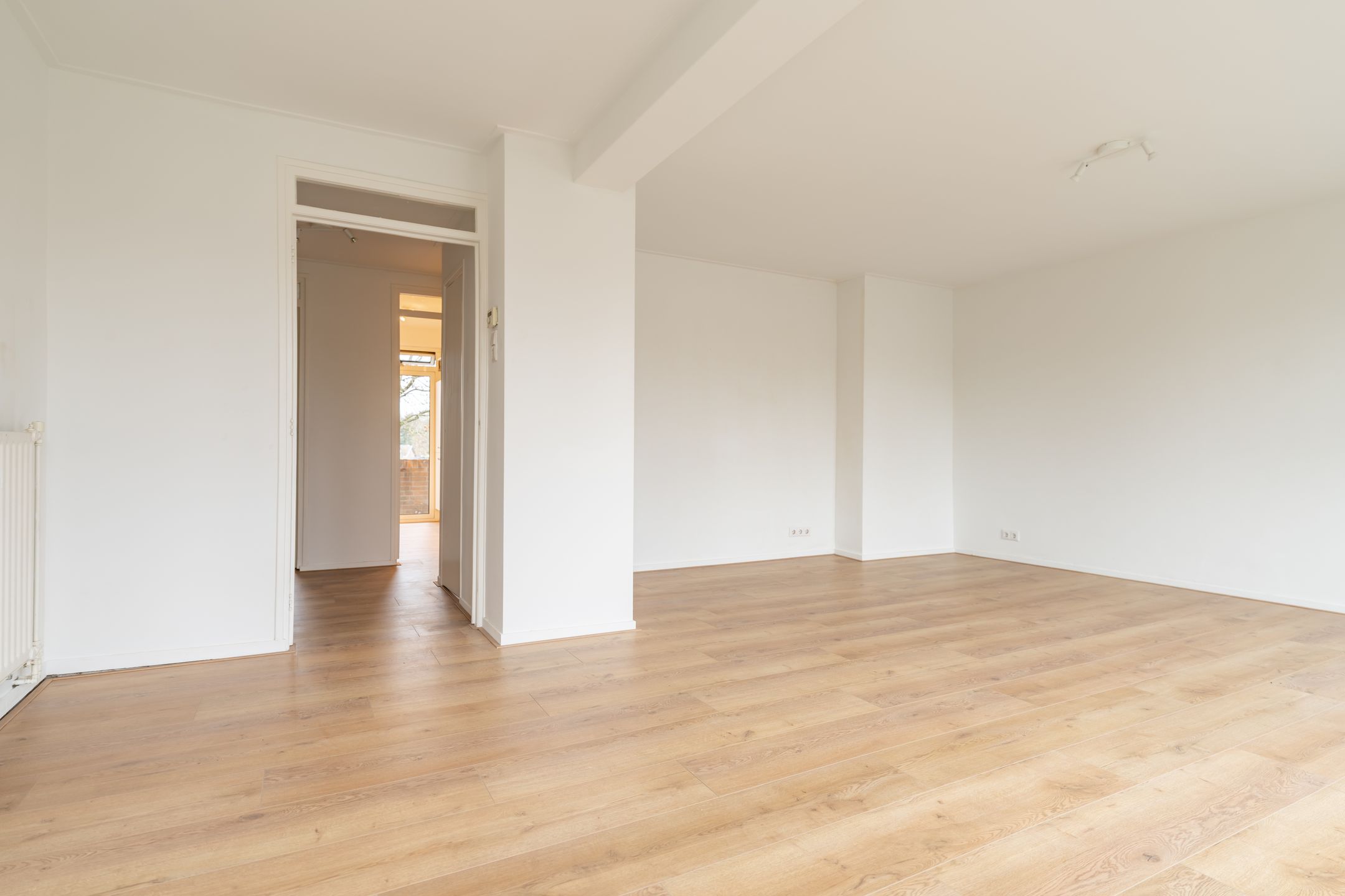 Photo 3 of de Engh 15-III