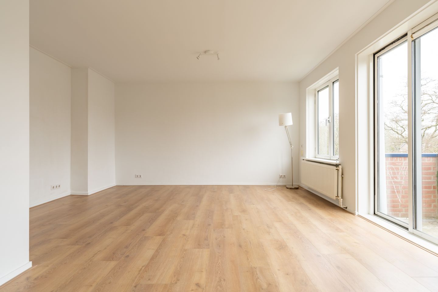 Photo 4 of de Engh 15-III