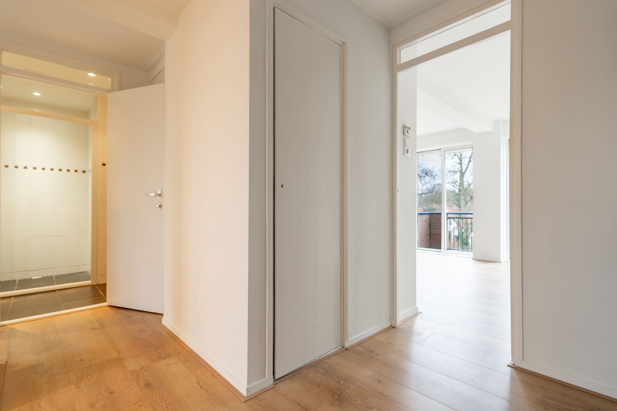 Photo 15 of de Engh 15-III