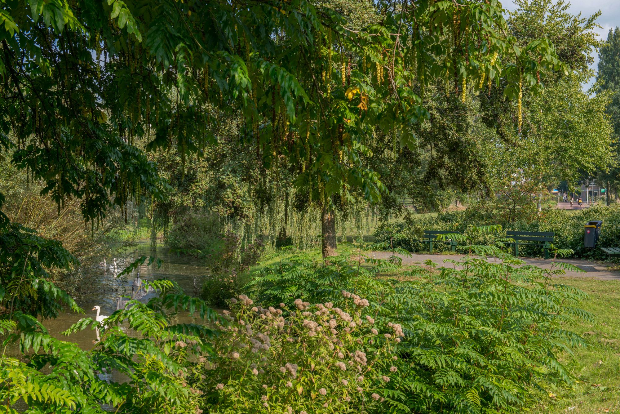 Foto 36 van Wethouder In 't Veldstraat 35