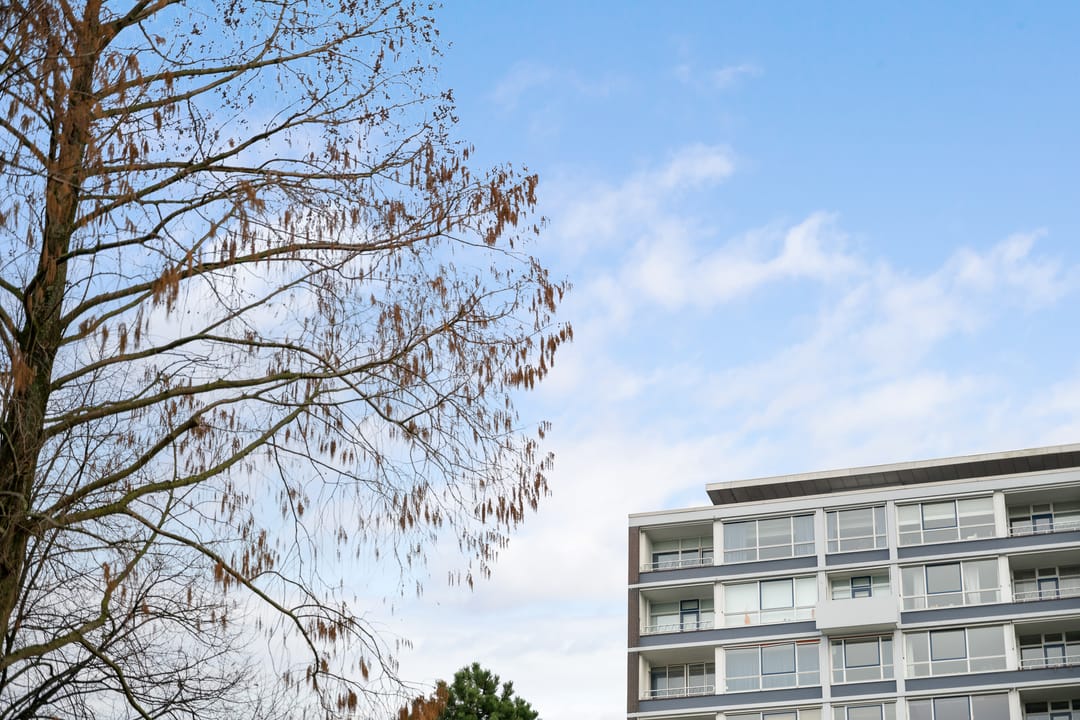 Foto 1 van Westzeedijk 220