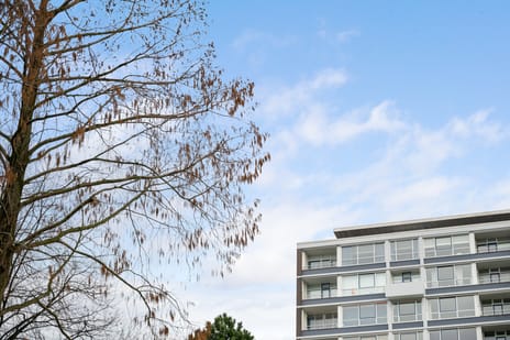 Westzeedijk thumbnail