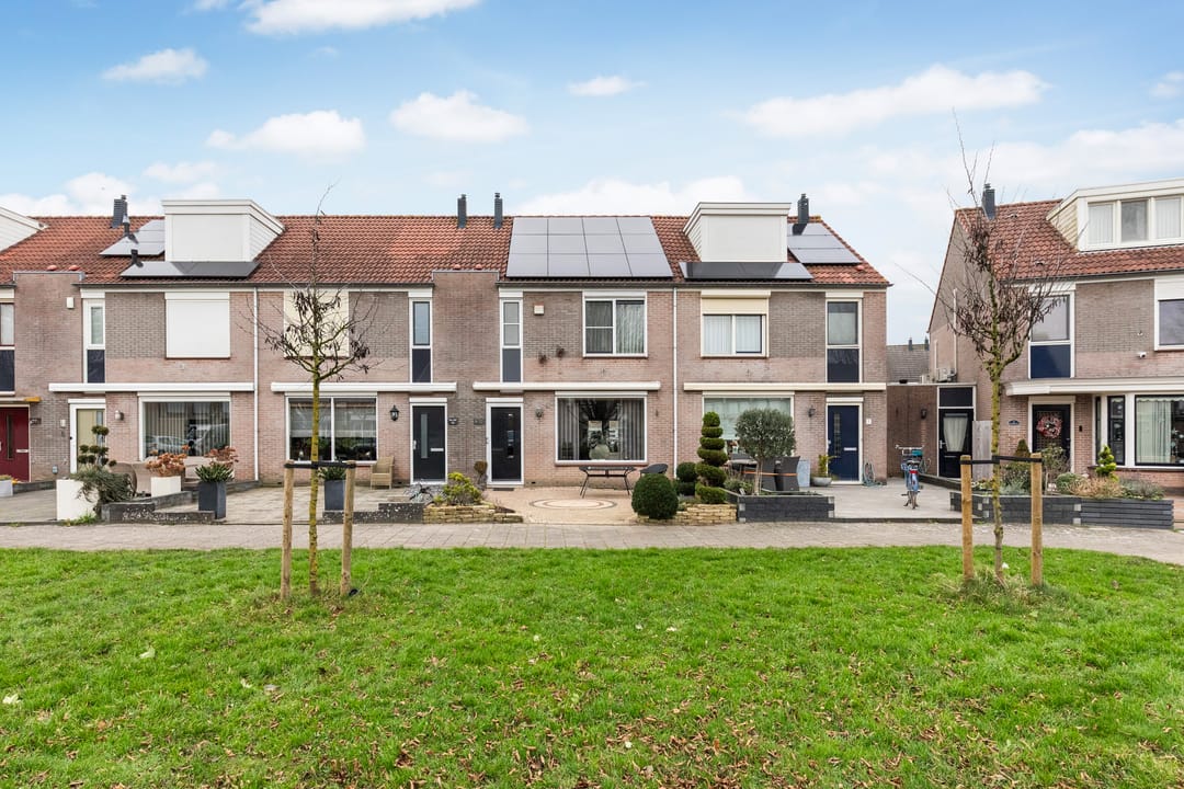 Foto 2 van Zilvergesp 9