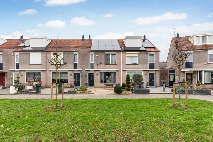 Photo 2 of Zilvergesp 9