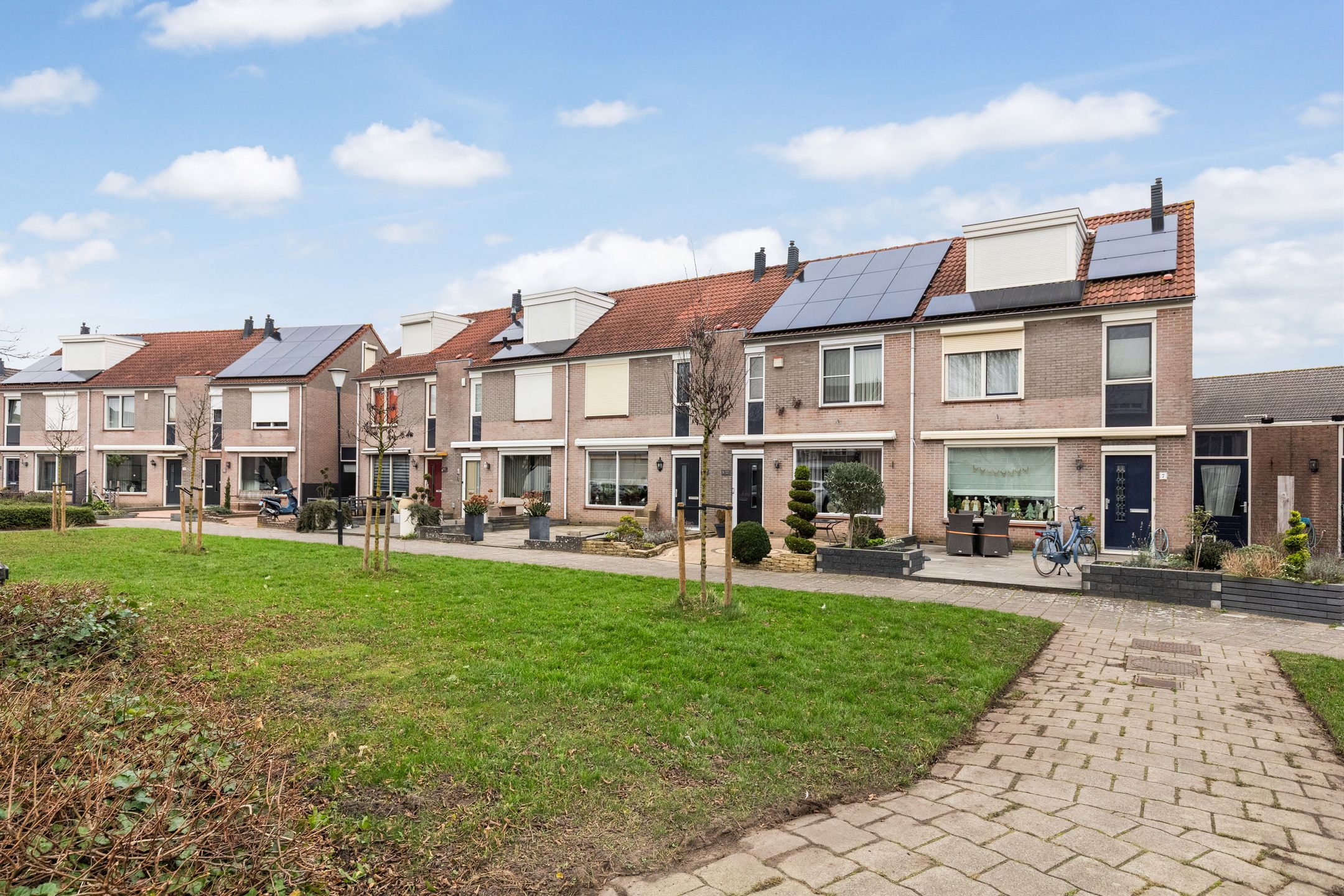 Foto 3 van Zilvergesp 9