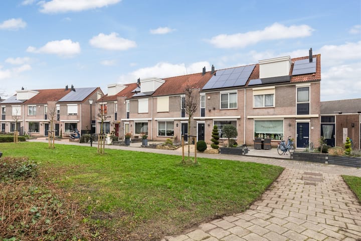 Photo 3 of Zilvergesp 9