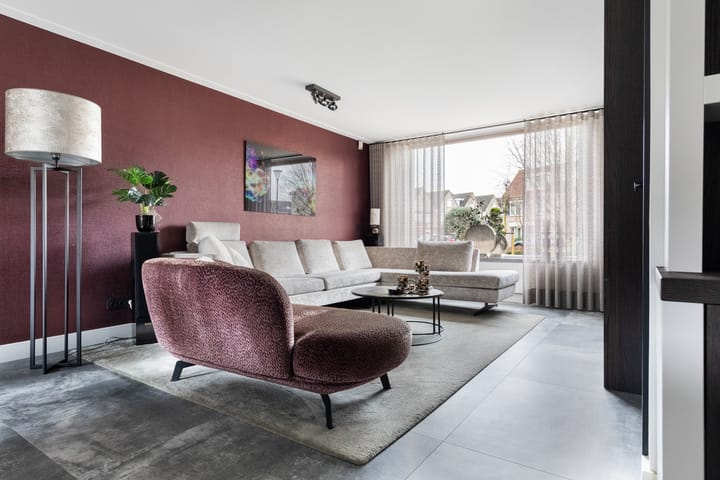 Photo 9 of Zilvergesp 9