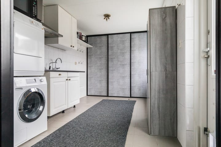 Photo 18 of Zilvergesp 9