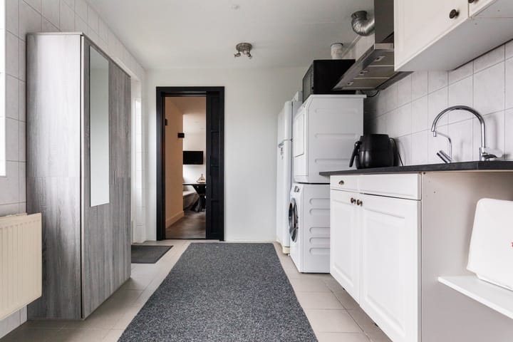 Photo 19 of Zilvergesp 9