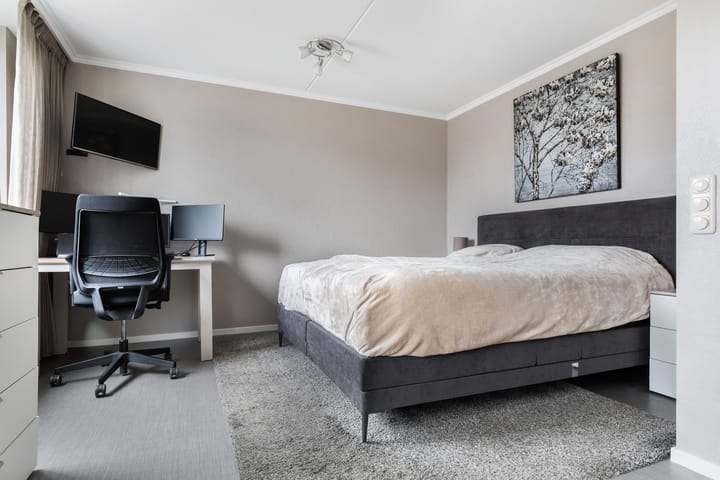 Photo 22 of Zilvergesp 9