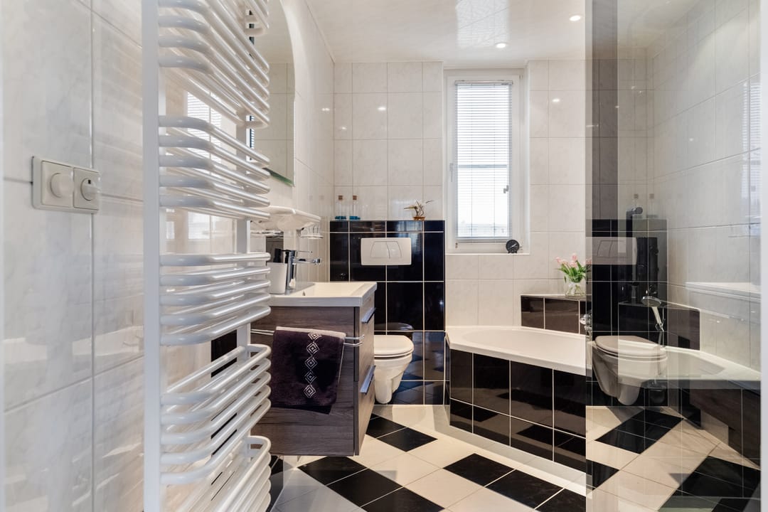 Foto 26 van Zilvergesp 9