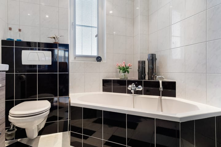 Photo 27 of Zilvergesp 9