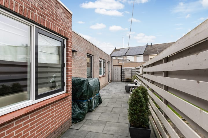 Photo 35 of Zilvergesp 9