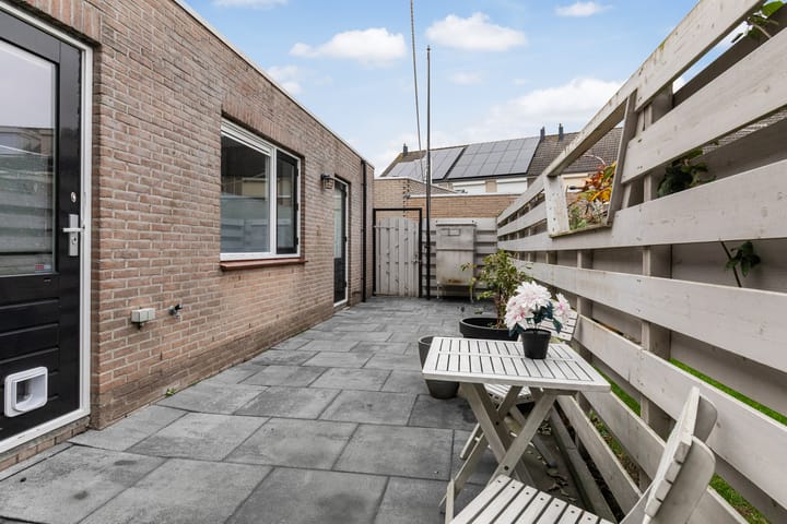 Photo 36 of Zilvergesp 9