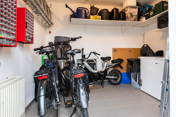 Photo 37 of Zilvergesp 9