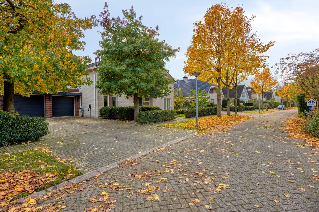 Foto 7 van Kiwistraat 20