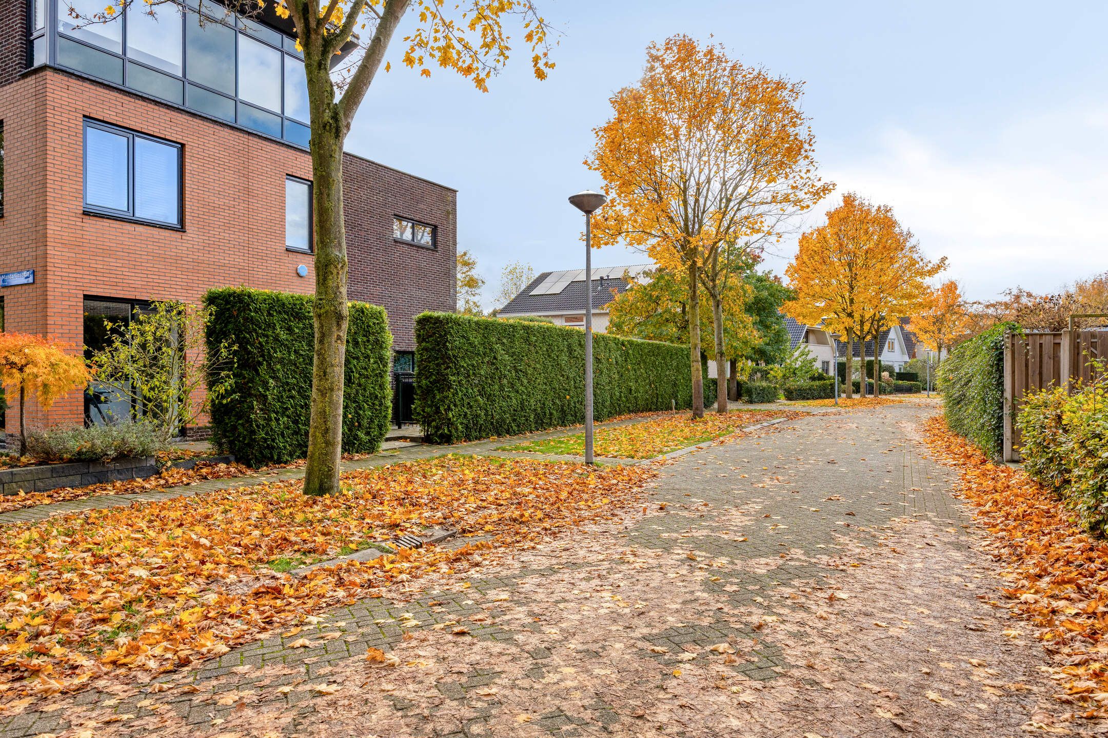 Foto 69 van Kiwistraat 20