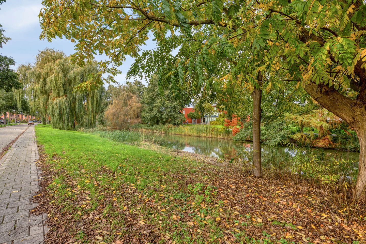 Foto 70 van Kiwistraat 20