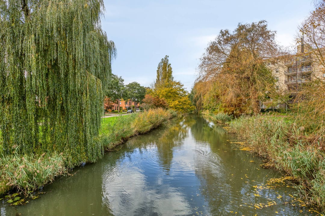 Foto 71 van Kiwistraat 20