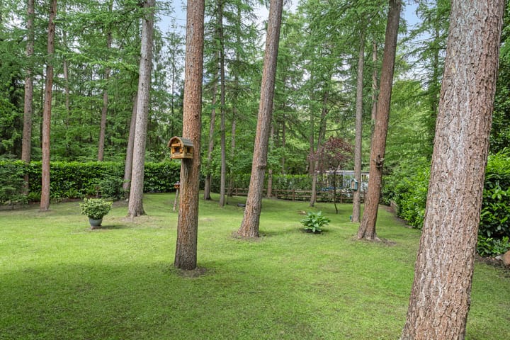 Photo 38 of Boerenweg 15