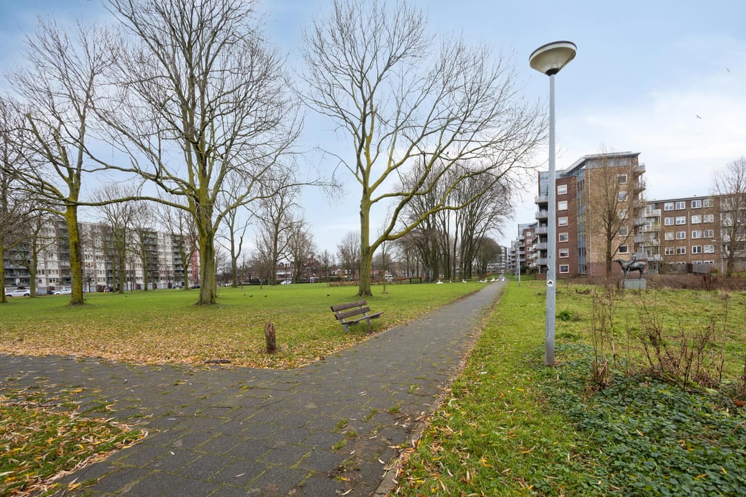 Foto 41 van Laan der Nederlanden 76