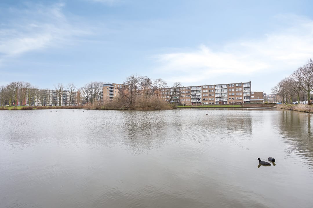 Foto 43 van Laan der Nederlanden 76