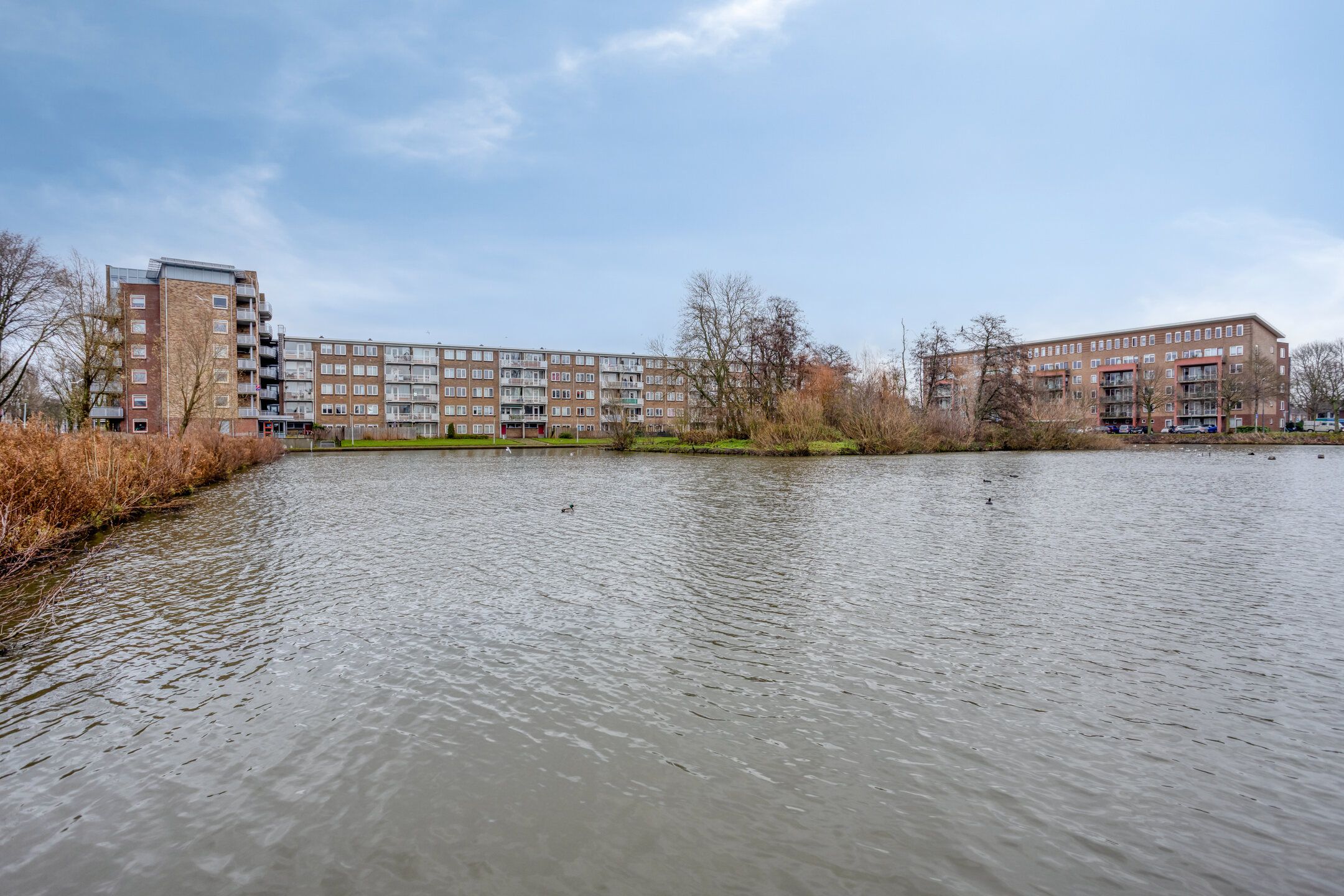 Foto 42 van Laan der Nederlanden 76