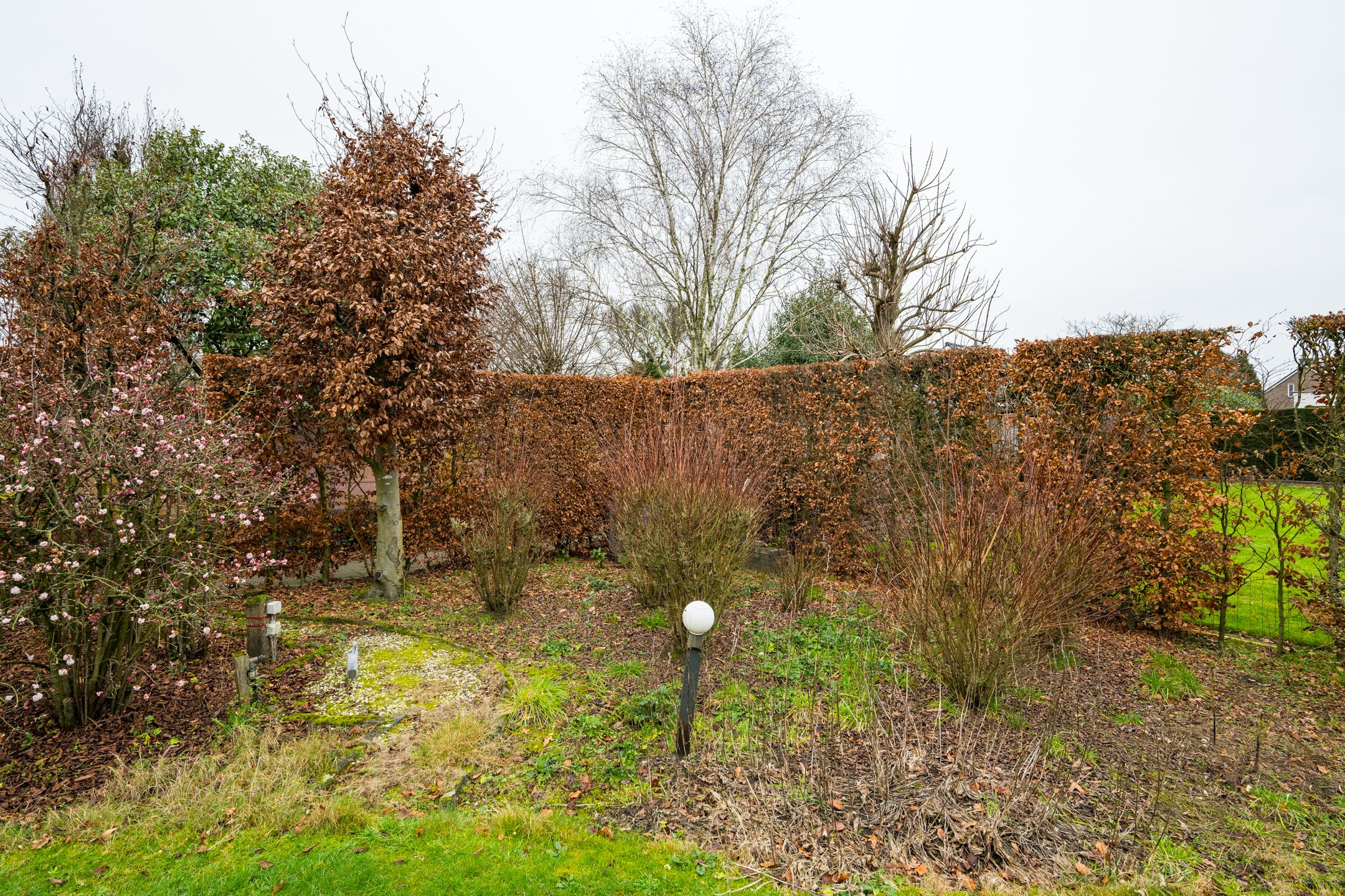 Foto 51 van Varsseveldseweg 60-B