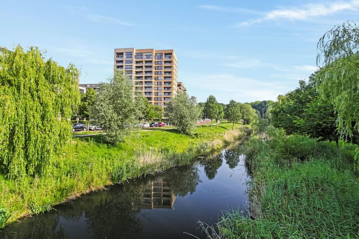 Foto 37 van Titus van Rijnstraat 151