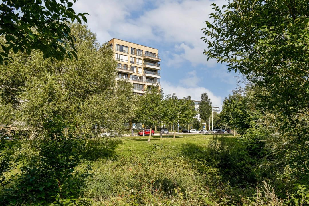 Foto 41 van Titus van Rijnstraat 151