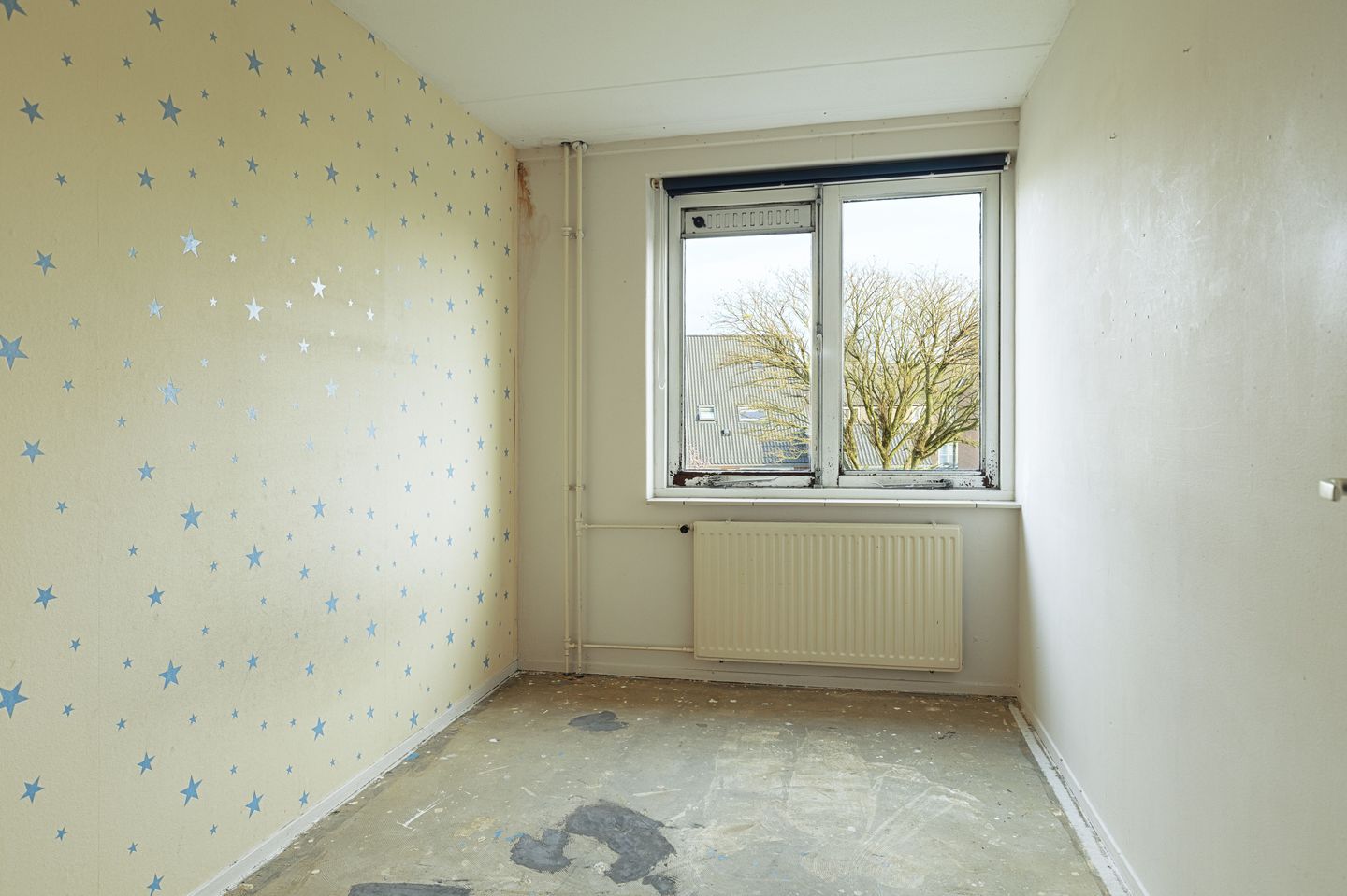 Foto 20 van Dieze 54