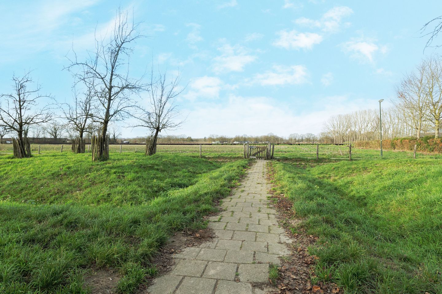 Foto 34 van Dieze 54