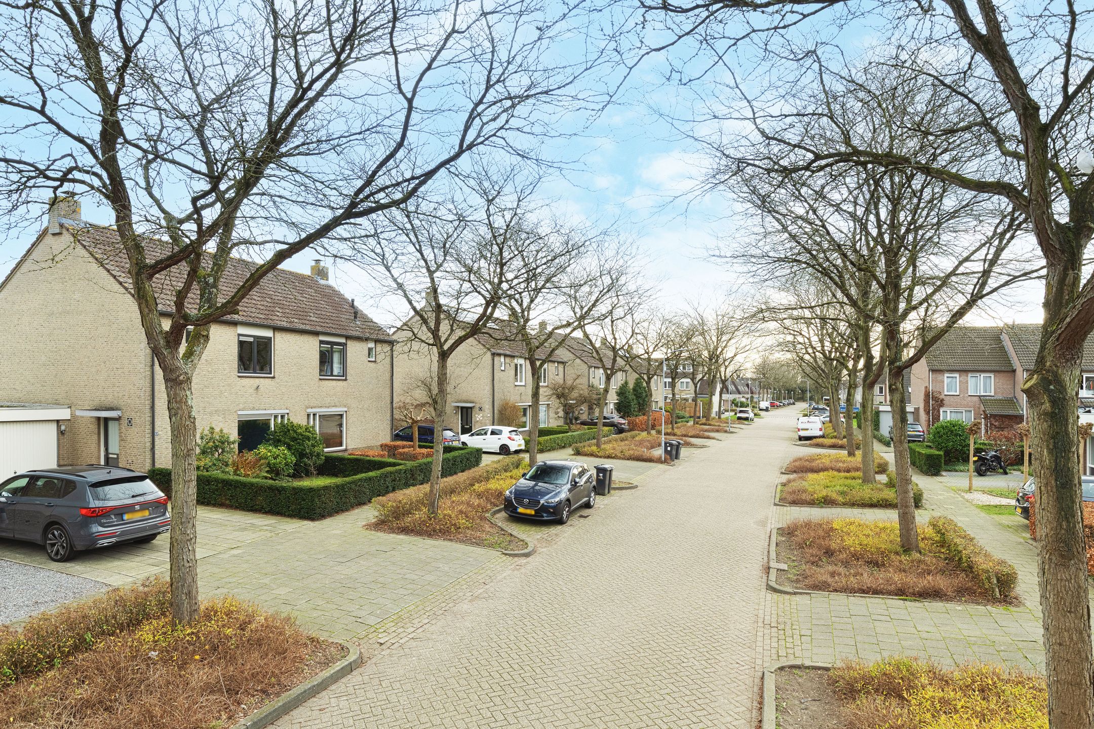 Foto 39 van Dieze 54