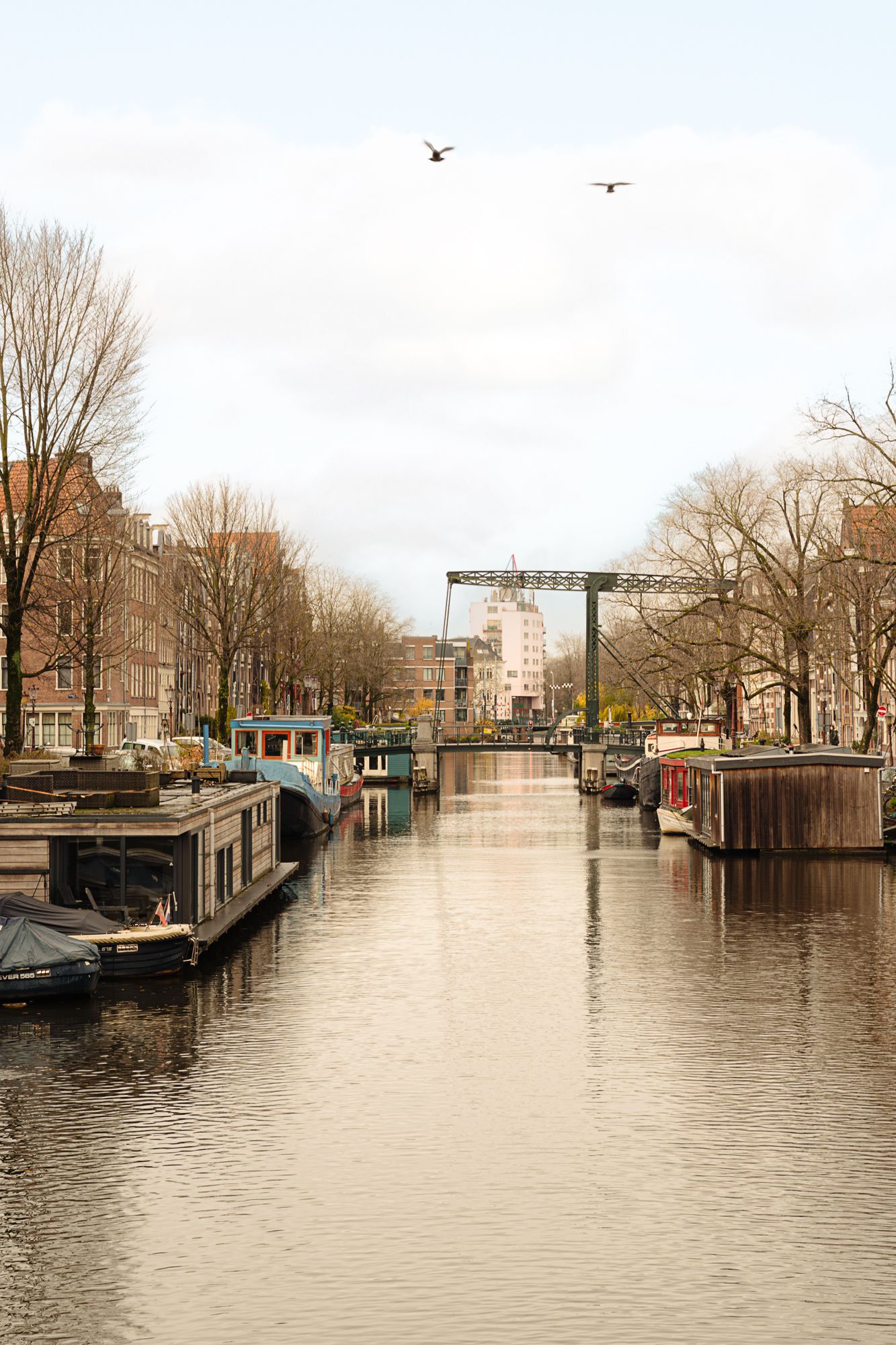 Foto 25 van Willemsstraat 14-B
