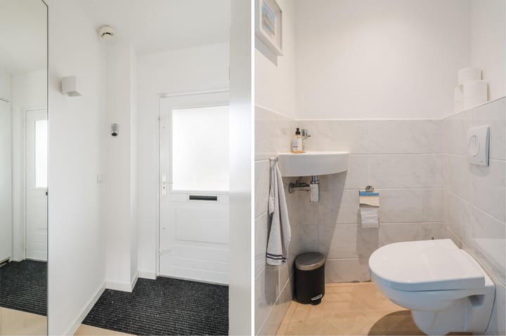 Foto 12 van Atlasvlinder 20