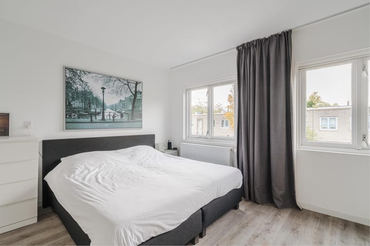 Foto 14 van Atlasvlinder 20