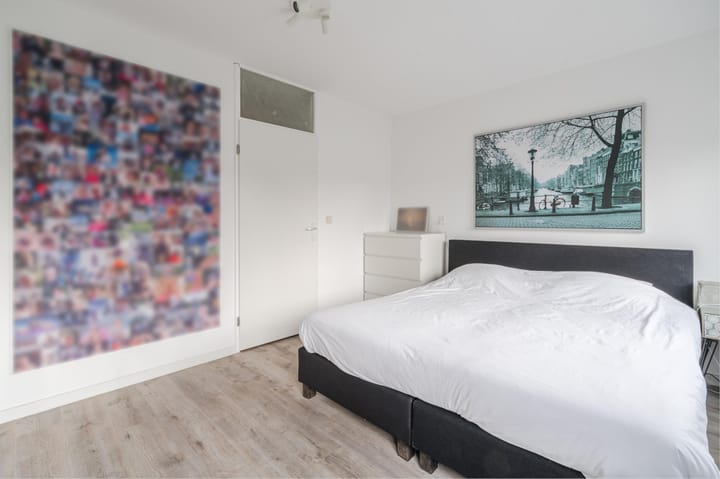 Foto 15 van Atlasvlinder 20