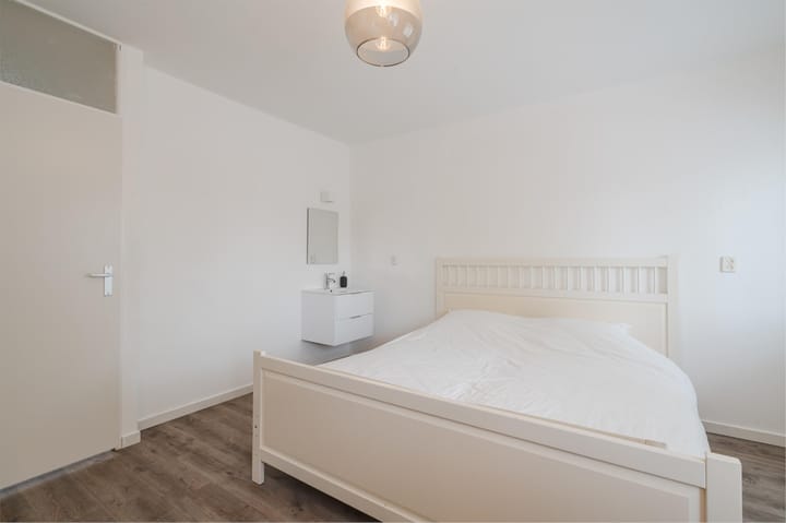 Foto 19 van Atlasvlinder 20