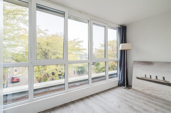 Foto 20 van Atlasvlinder 20