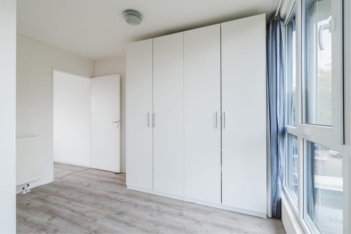 Foto 22 van Atlasvlinder 20