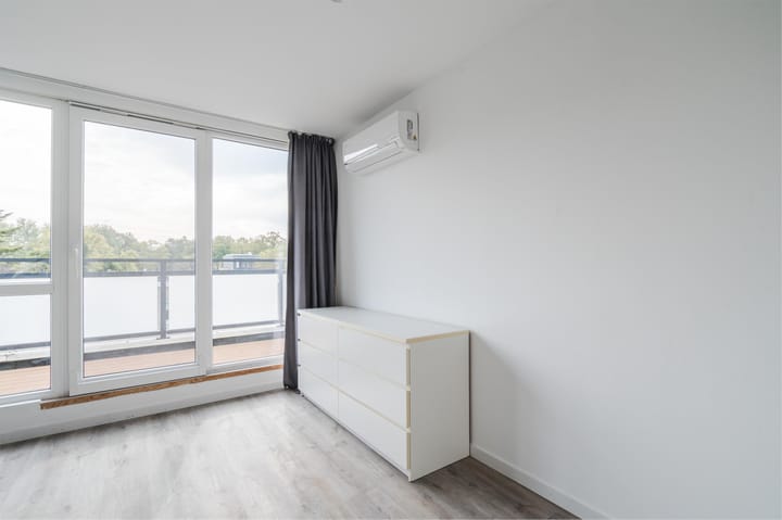 Foto 23 van Atlasvlinder 20