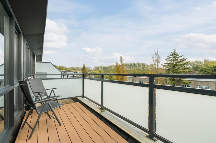 Foto 31 van Atlasvlinder 20