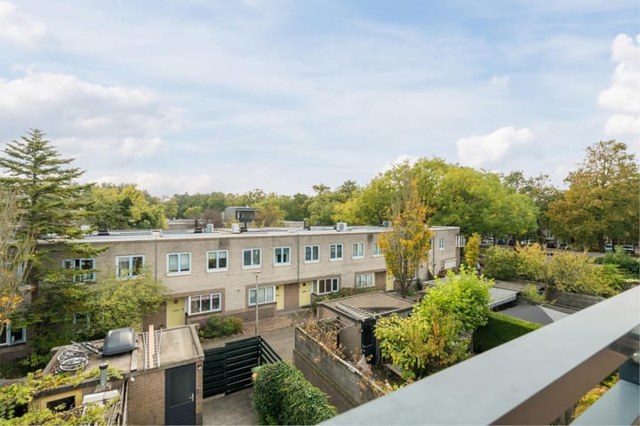 Foto 35 van Atlasvlinder 20